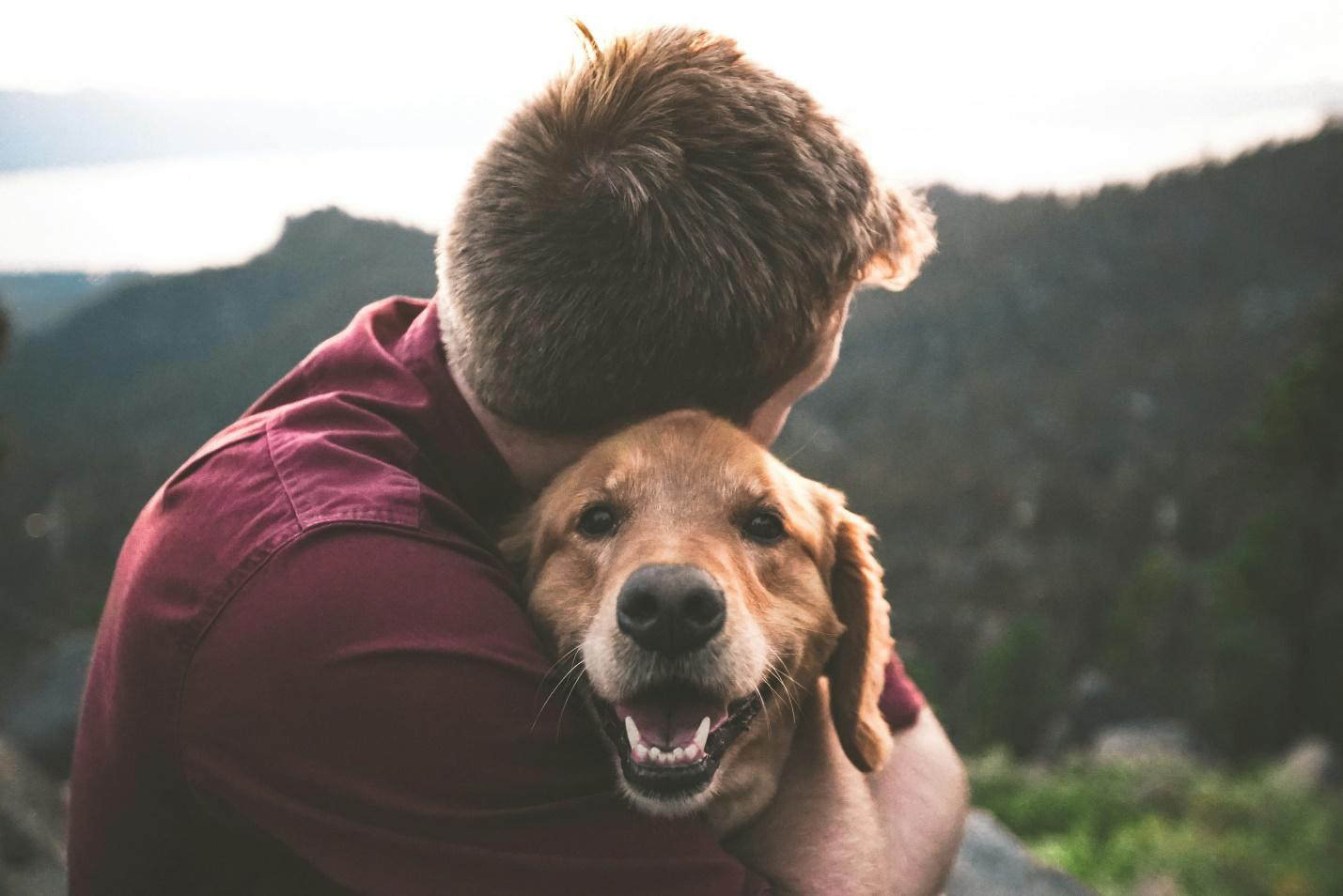 An image of a person hugging a dog.