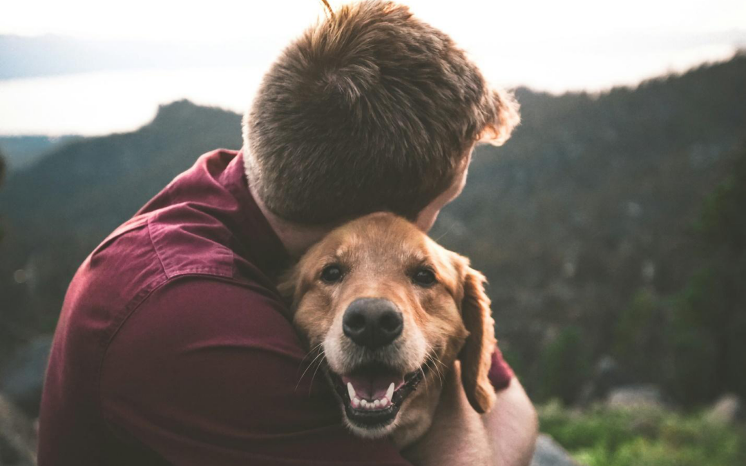 Easing the Goodbyes: Tips to Make Leaving Your Dog at Boarding Near Palm Springs Less Stressful