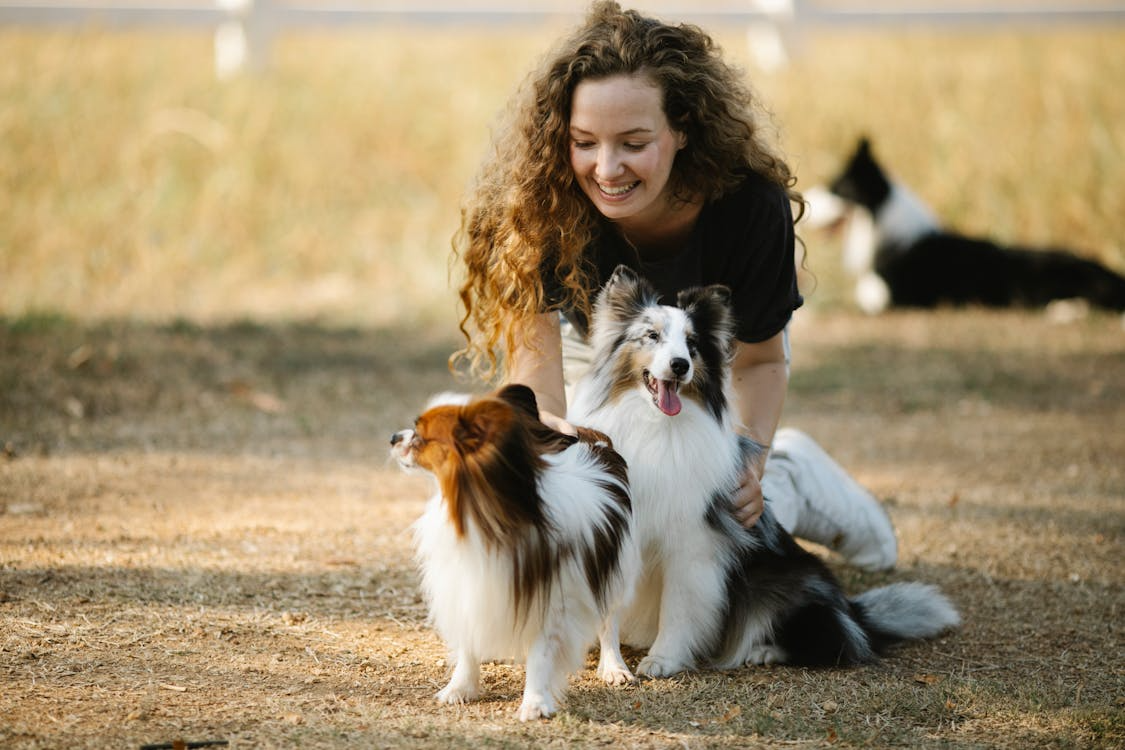 A person playing with dogs