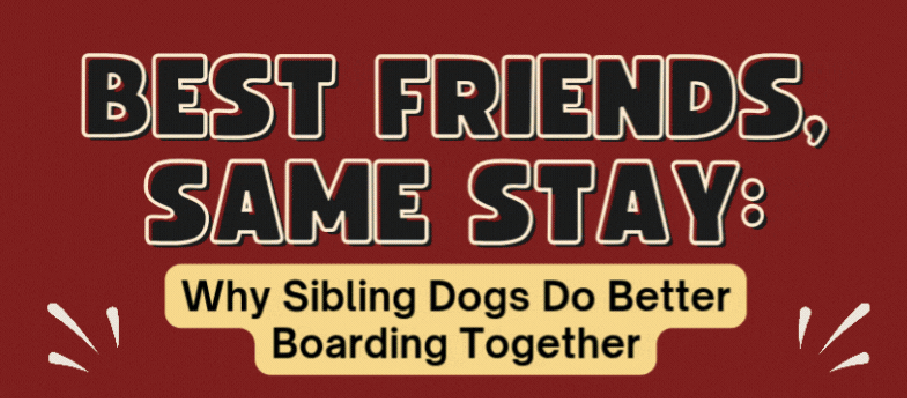 BEST FRIENDS, SAME STAY