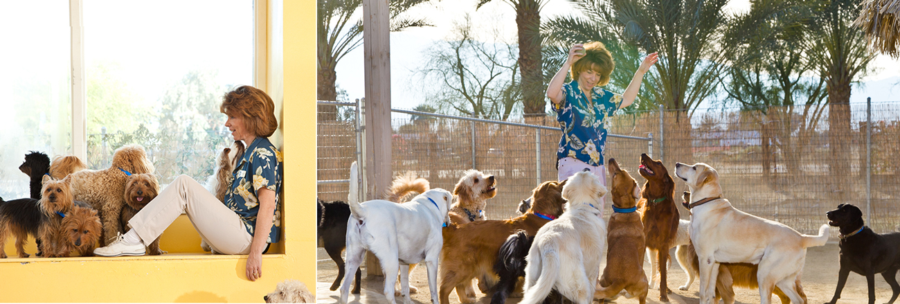 a lady playing with dogs