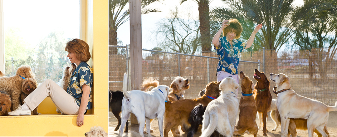 Near Indian Wells and Looking for Dog Daycare? Here’s What to Expect