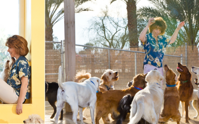 Near Indian Wells and Looking for Dog Daycare? Here’s What to Expect
