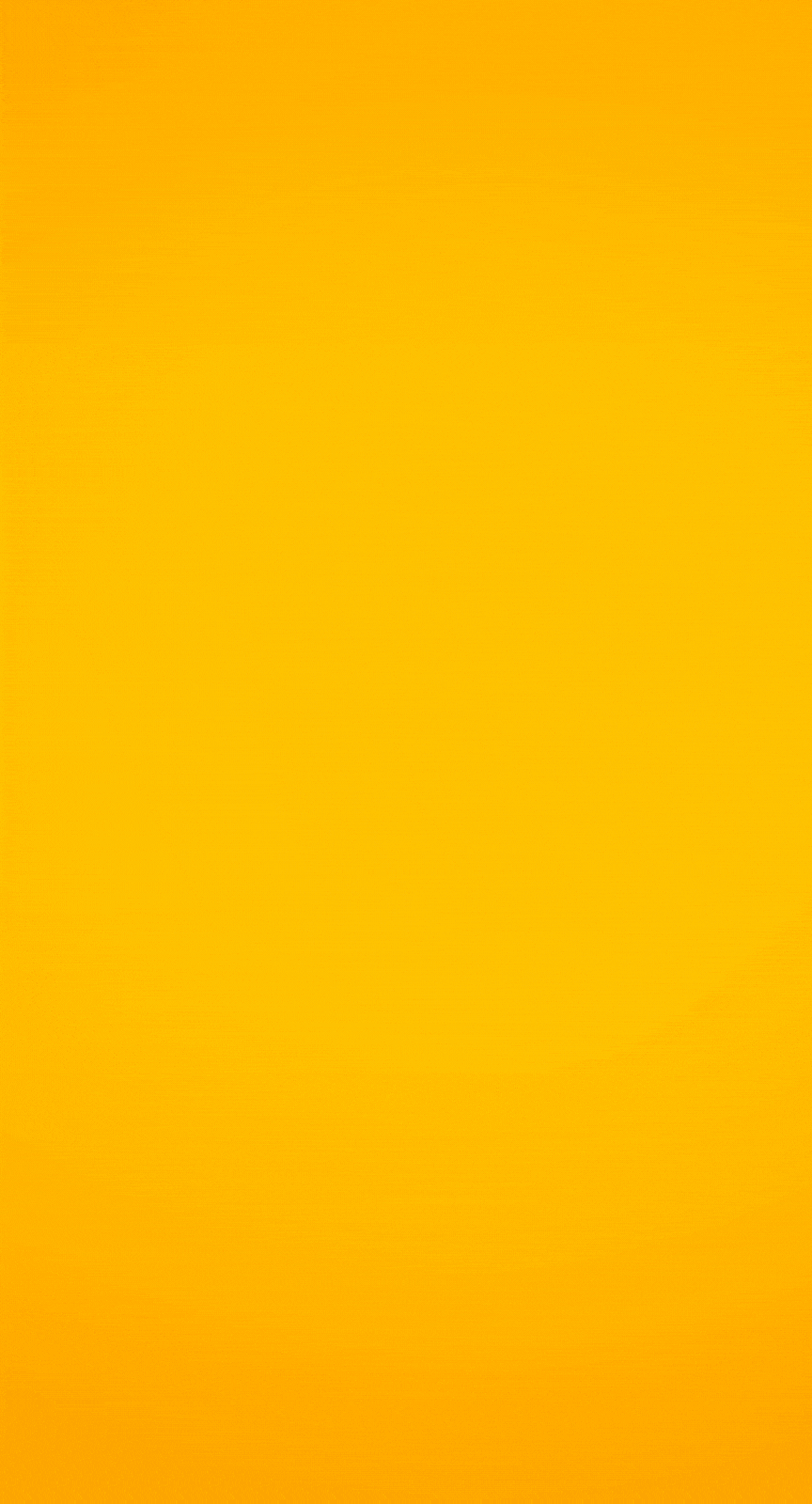 Post-Grooming Care Tips For Dogs